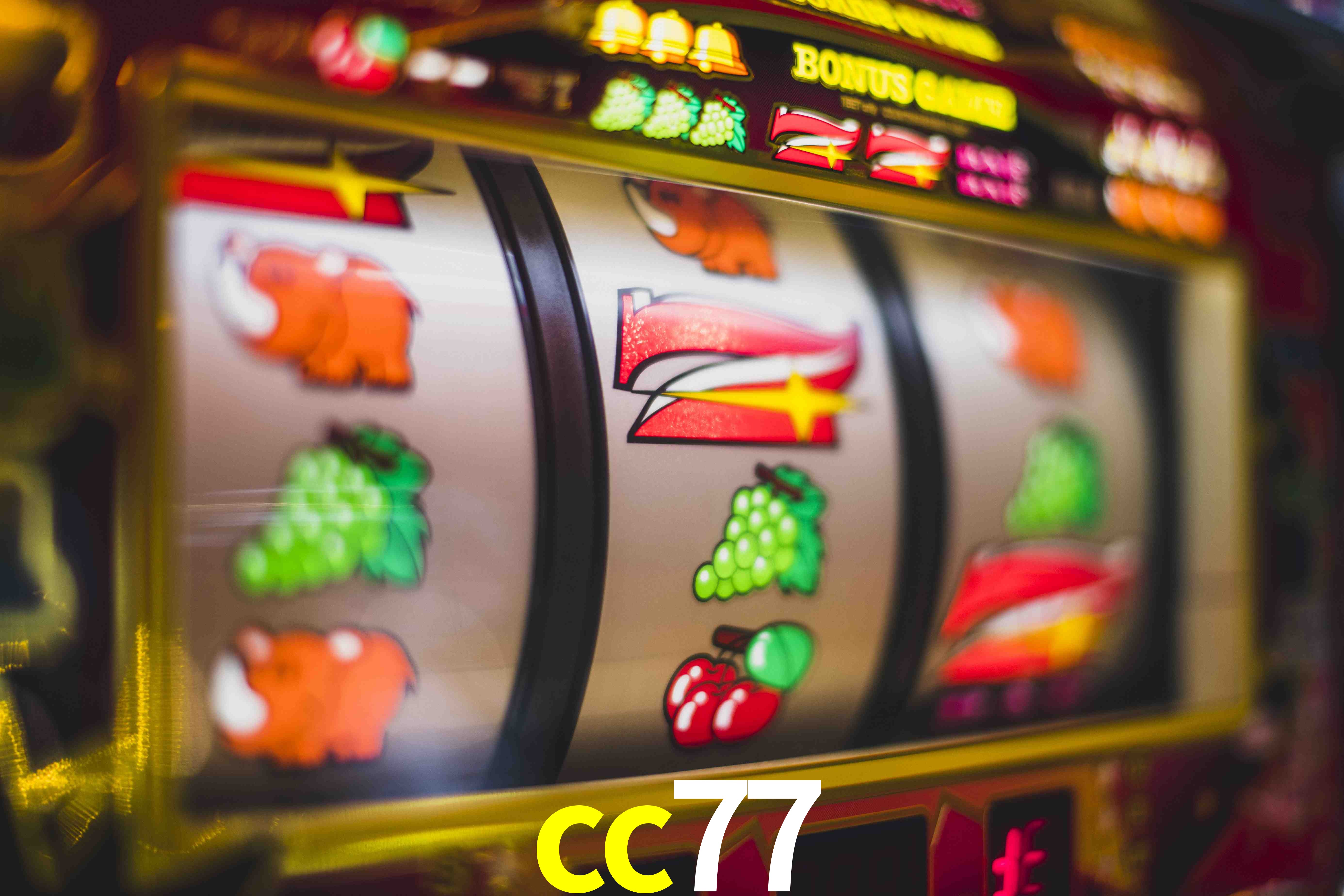 VIP Casino cc77
